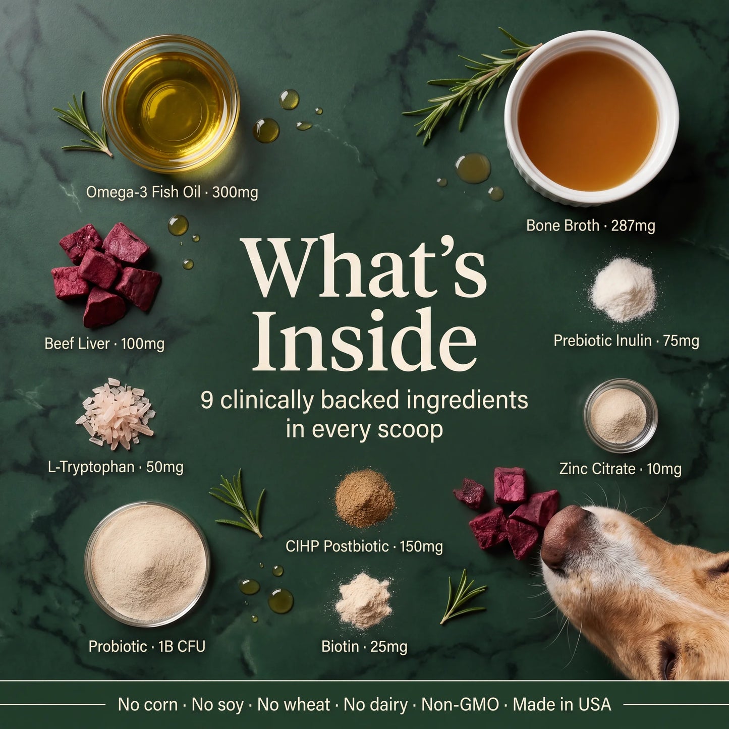 SG-01 Skin & Gut Dogbiotic: Daily Powder for Itch Relief, Coat Health & Digestion