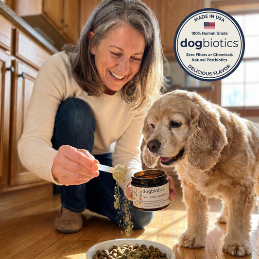 Dog Mom laughing while scooping Dogbiotics over food bowl, eager cocker spaniel beside her in warm kitchen