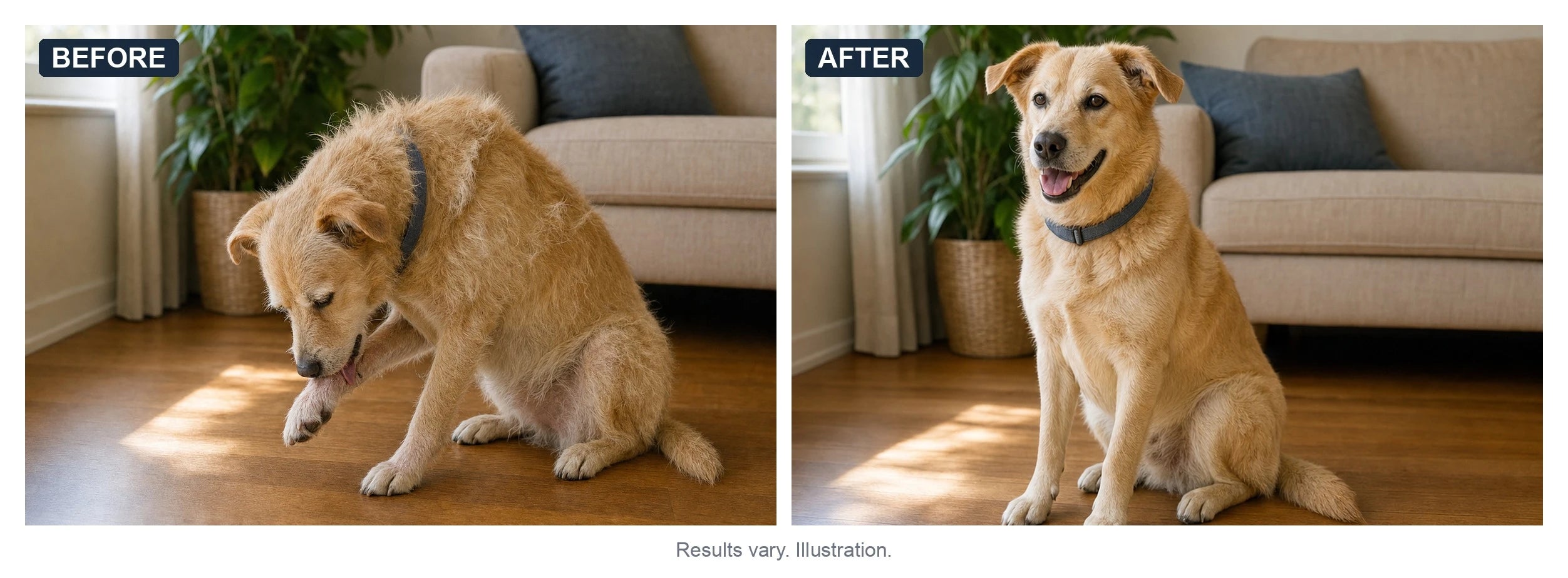 Before and after illustration: a dog with a dull, itchy coat, then the same dog calm with a healthy coat. Results vary.